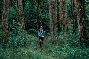 BIB: 
                            <button type="button" onclick="openModal(25237477)" class="btn btn-primary btn-sm float-right btn-popup" data-toggle="modal" data-target=".modal-high-quality">
                        <i class="fas fa-shopping-cart"></i> Add to Cart
                    </button>
                                            <button type="button" onclick="isThisMe(25237477, true)" class="btn btn-success btn-sm float-right btn-popup btn-isme hidden" data-toggle="tooltip" data-placement="bottom" title="นี่คือรูปของคุณใช่ไหม คลิกที่นี่เพื่อเอาเข้าอัลบั้ม">
                        <i class="fas fa-plus"></i> Add to album
                    </button>
                    <button type="button" onclick="isThisMe(25237477, false)" class="btn btn-warning btn-sm float-right btn-popup btn-isnotme hidden">
                        <i class="fas fa-ban"></i> Remove from album
                    </button>